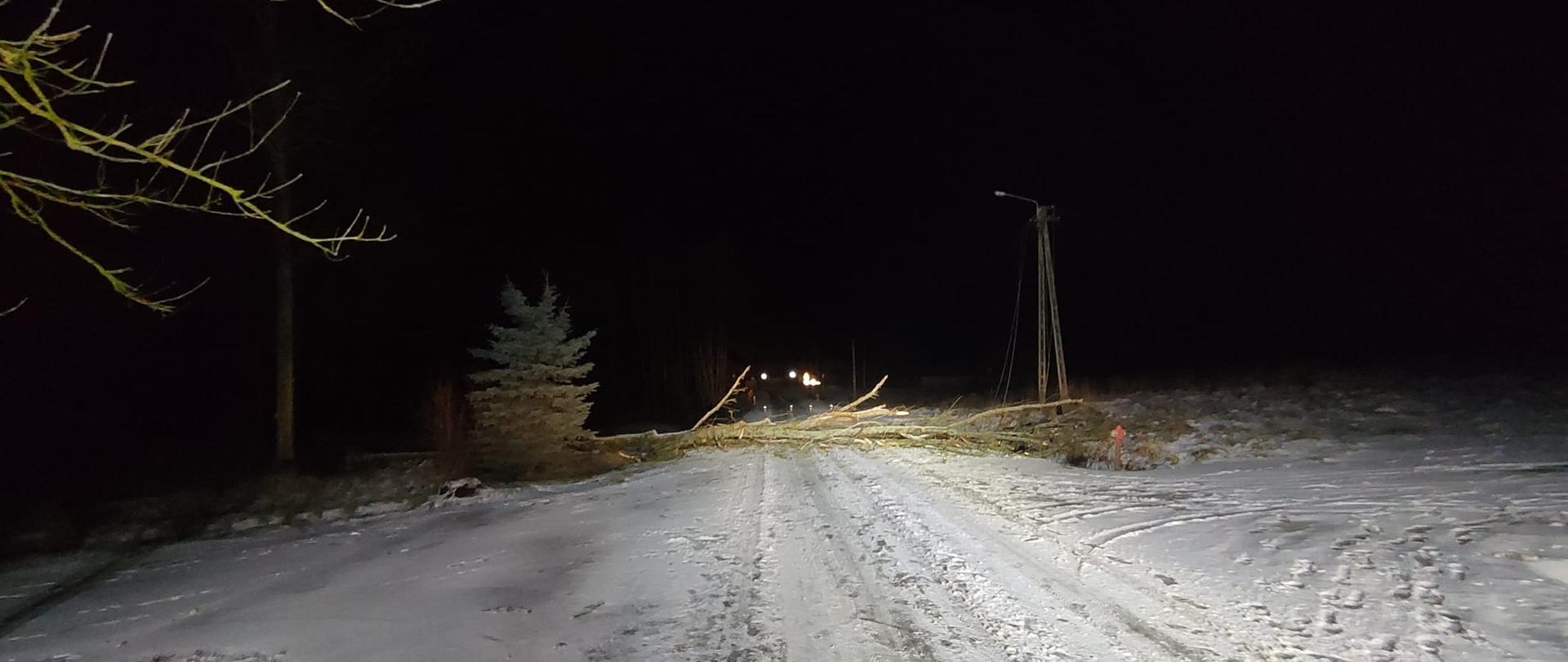 Usuwanie skutków silnych wiatrów