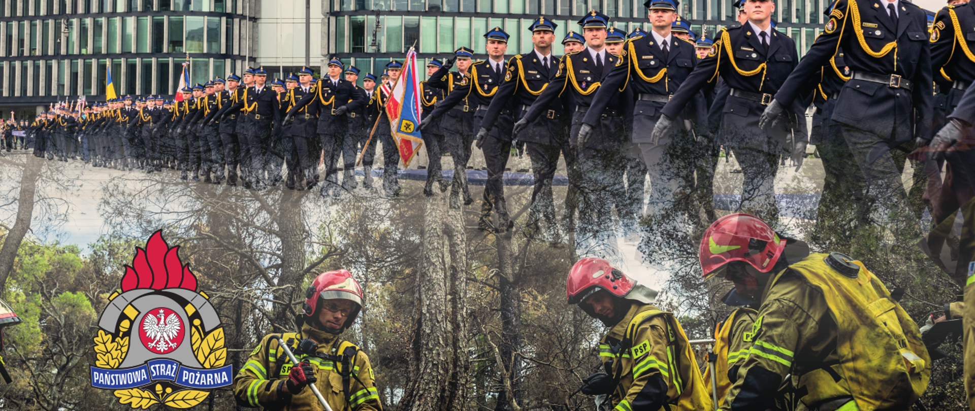 strażacy gaszący pożar lasu, nad nimi defilada strażaków