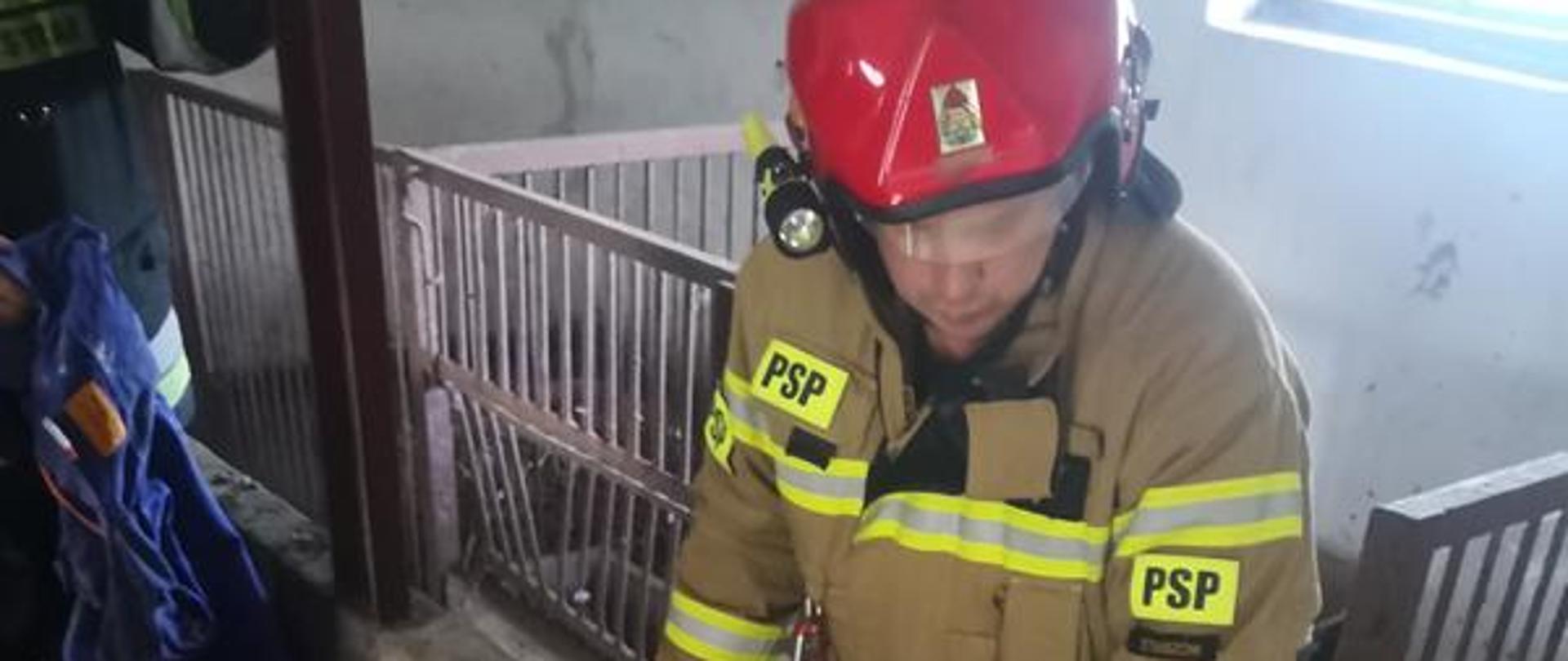 Działania ratownicze podczas zdarzenia z krową.