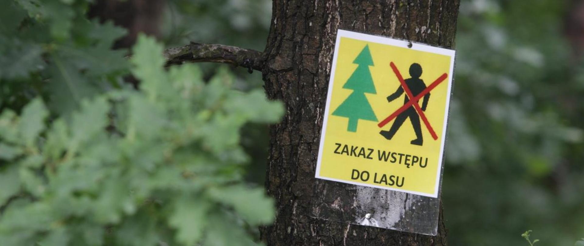 Znak na drzewie z napisem „Zakaz wstępu do lasu” i przekreśloną sylwetką człowieka.