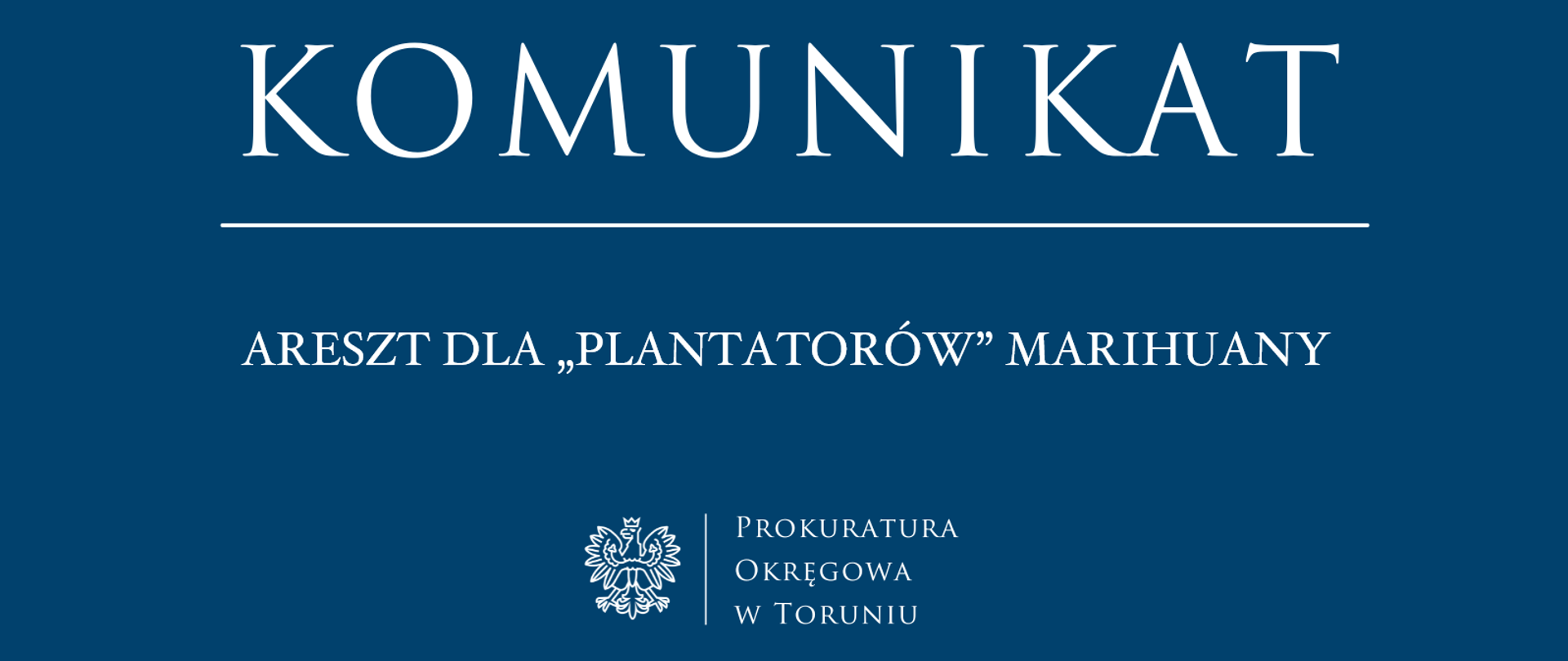 Areszt dla „plantatorów” marihuany