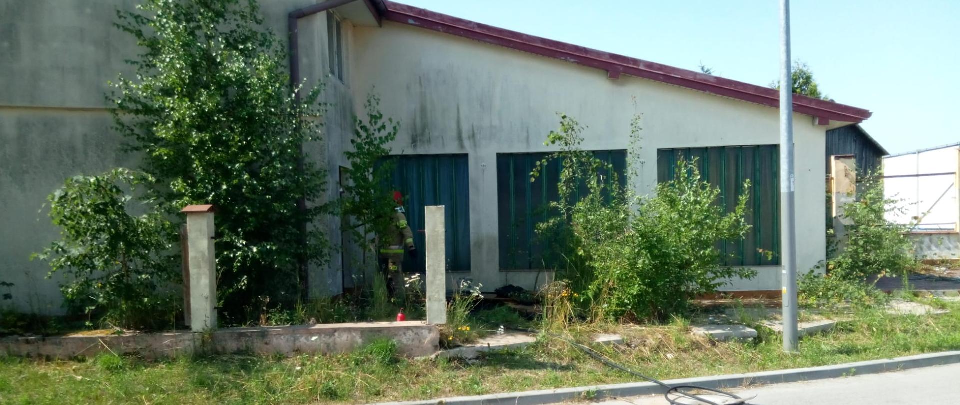 Zdjęcie przedstawia nieużytkowany budynek przy ulicy Wincentego Witosa w Kielcach w którym poszło do pożaru.