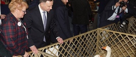 Prezydent A. Duda na stoisku dedykowanym Gęsi Białej Kołudzkiej
