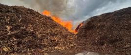 Zdjęcie przedstawia pożar składowiska biomasy. Widać płomienie oraz gęsty dym wydobywający się nad stertą biomasy.