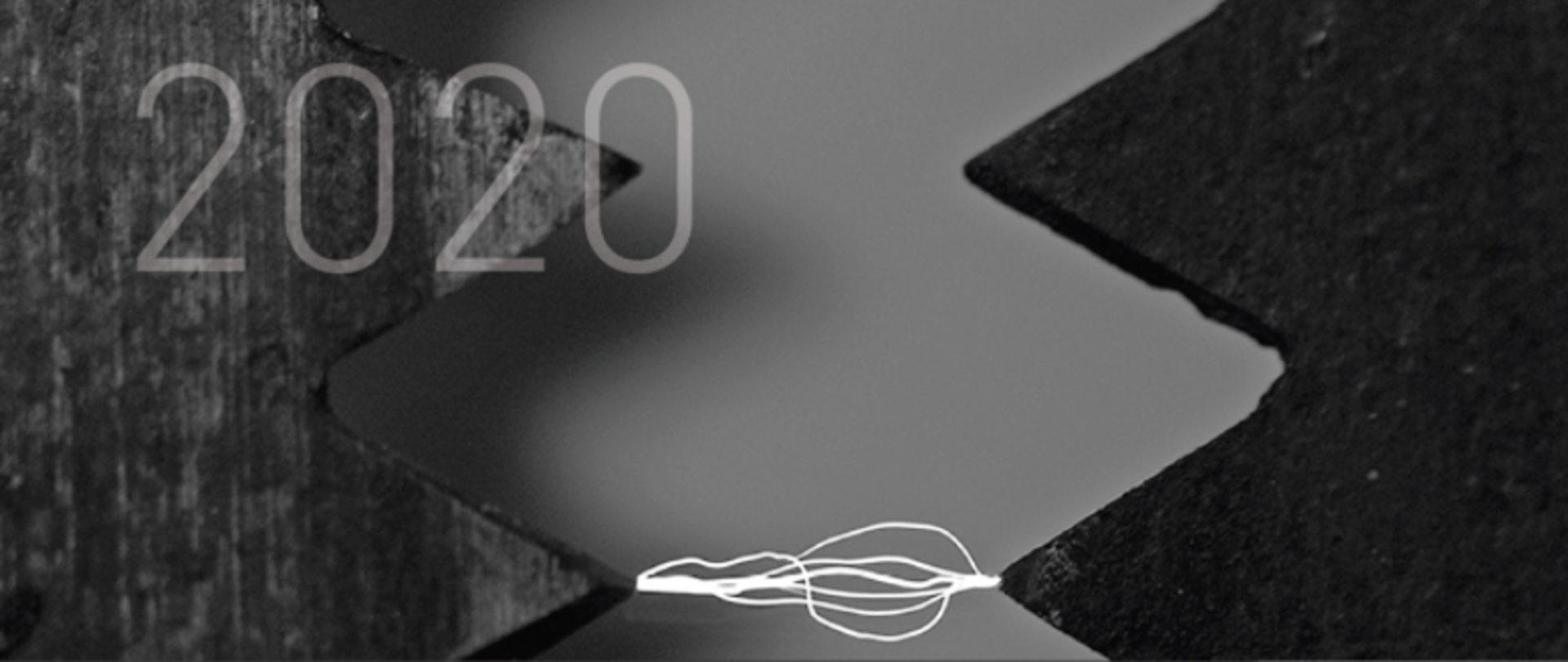 Instytut Polski w Mińsku