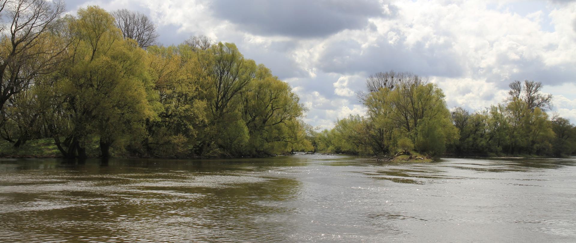 Obszar Natura 2000 Nieszawska Dolina Wisły PLH040012 - woda z rzeki Wisły, na brzegu drzewa, pochmurne niebo