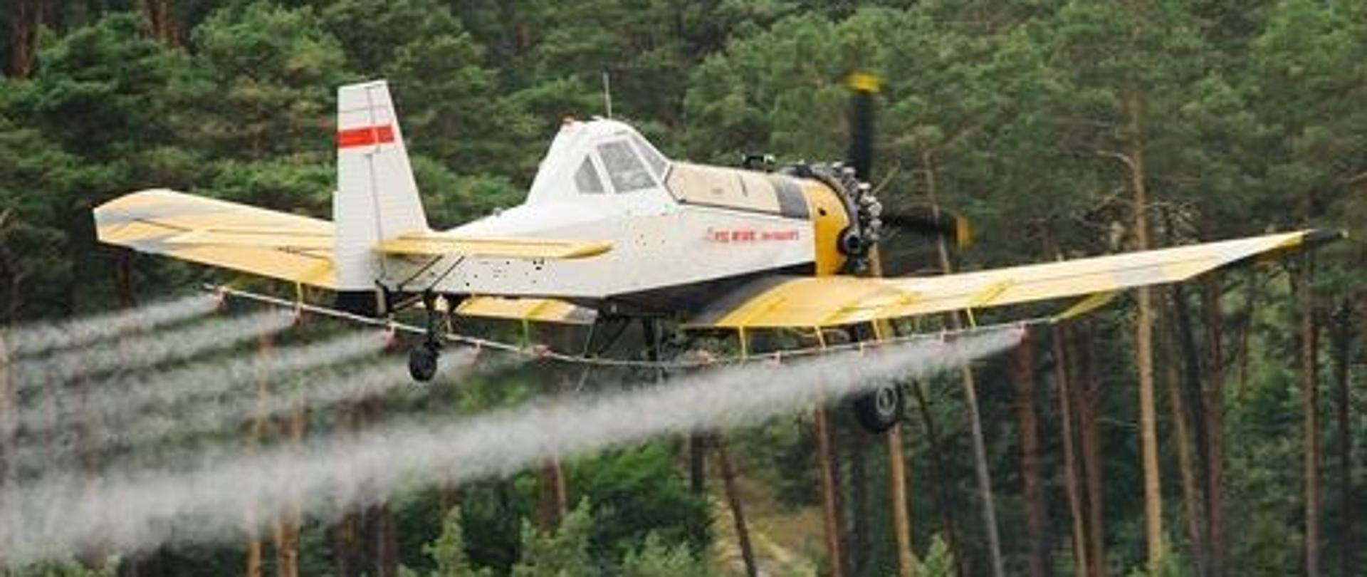 Samolot rolniczy w żółto-białych barwach wykonuje oprysk nad lasem, lecąc nisko nad drzewami.