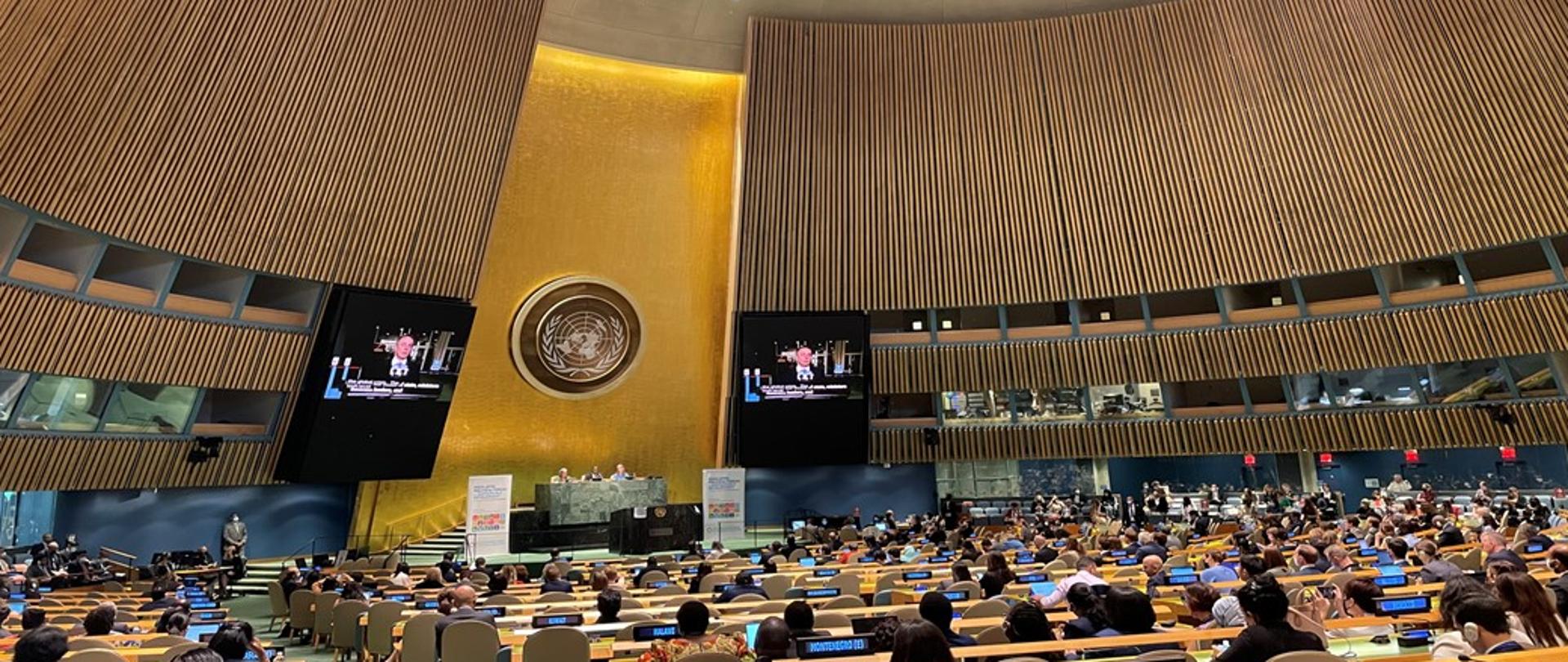 Na zdjęciu widoczna jest wypełniona delegatami z krajów ONZ Sala Zgromadzenia Ogólnego ONZ w Nowym Jorku. Na podium za stołem widać Przewodniczącego ECOSOC oraz moderatorów dyskusji plenarnej. W tle logo Organizacji Narodów Zjednoczonych.