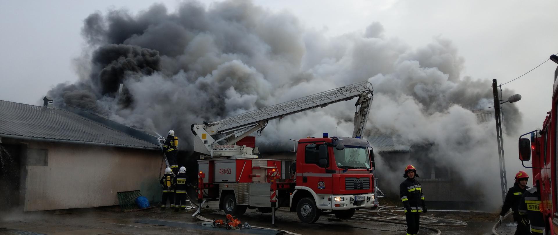 Na zdjęciu widać na pierwszym planie samochód specjalny podnośnik hydrauliczny oraz strażaków podających prąd gaśniczy wody z drabiny. W tle widać palącą się halę produkcyjno-magazynową