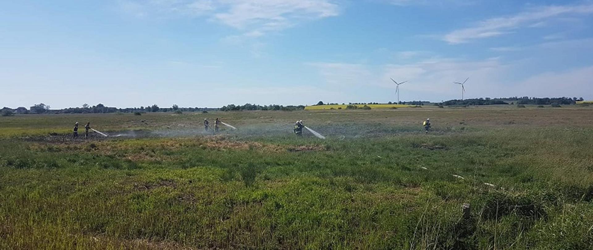 Zdjęcie przedstawia akcję gaśniczą podczas pożaru torfowiska na ul. Noskowskiego w Białogardzie. Na zielonej łące widoczne są 3 roty strażaków, które za pomocą linii gaśniczych gaszą pożar