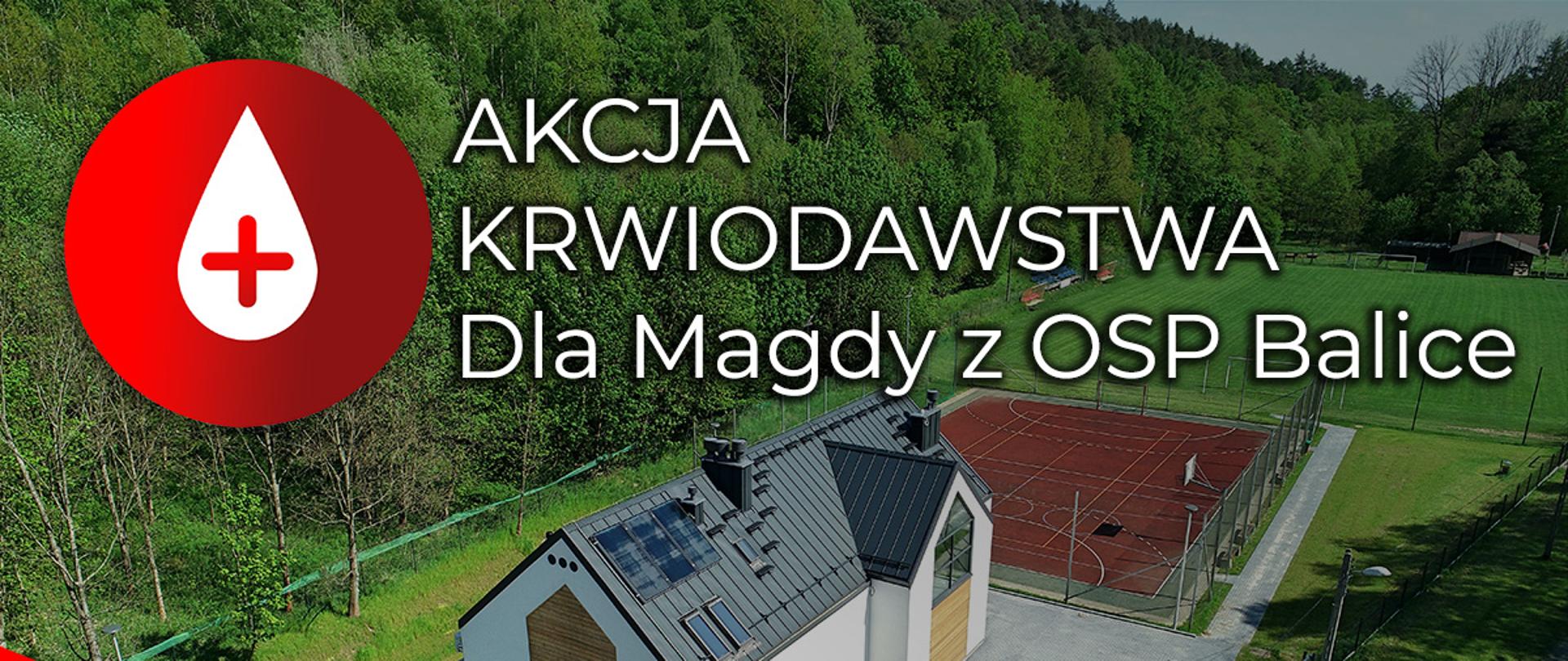 krwiodawstwo_Aleksandrowice