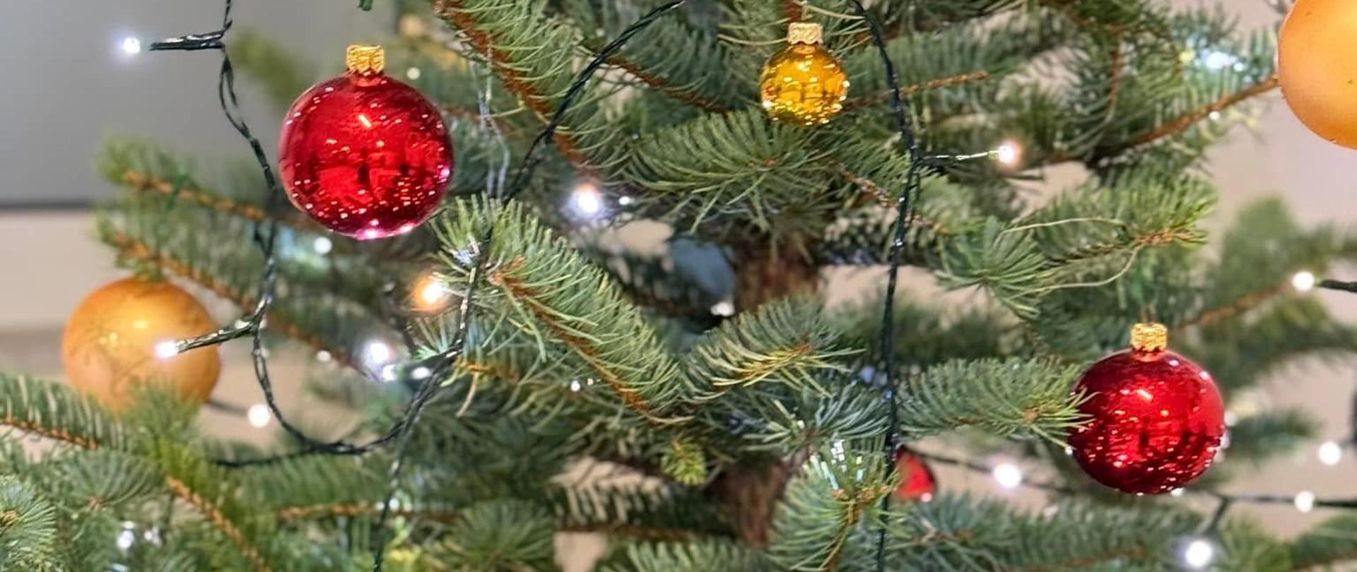 aktualnosci_17-12-2025(6)