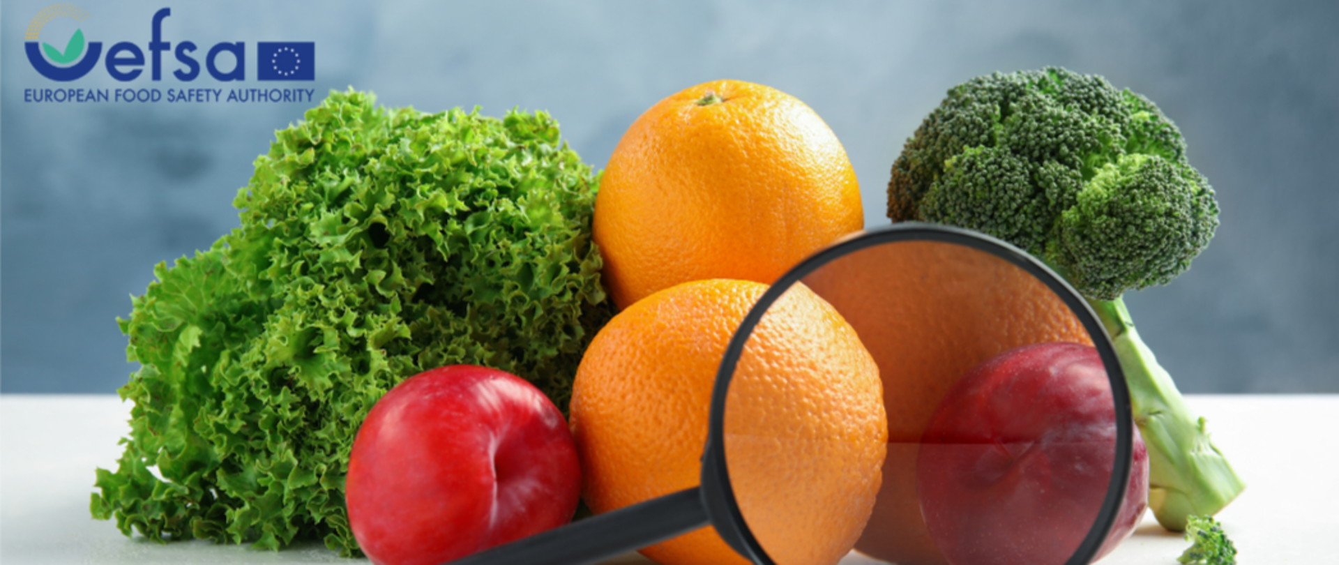 owoce i warzywa pod lupą 