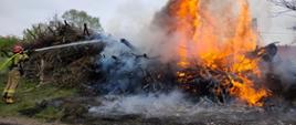 Na zdjęciu silnie rozwinięty, wysoki ogień wydobywający się ze sterty palących gałęzi. Po lewej stronie zdjęcia, przy nieobjętej pożarem stercie gałęzi, stoi strażak w jasnym, piaskowym umundurowaniu i czerwonym hełmie na głowie trzymając na prawym ramieniu jasnozielony wąż strażacki, podaje silny strumień wody w kierunku widocznych płomieni.