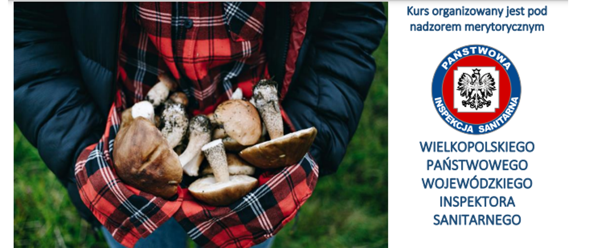 Kurs klasyfikatora grzybów świeżych pod nadzorem WSSE w Poznaniu.