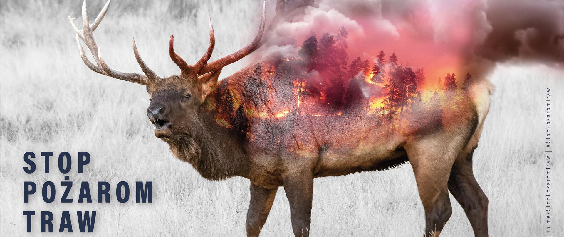 Baner STOP POŻAROM TRAW
