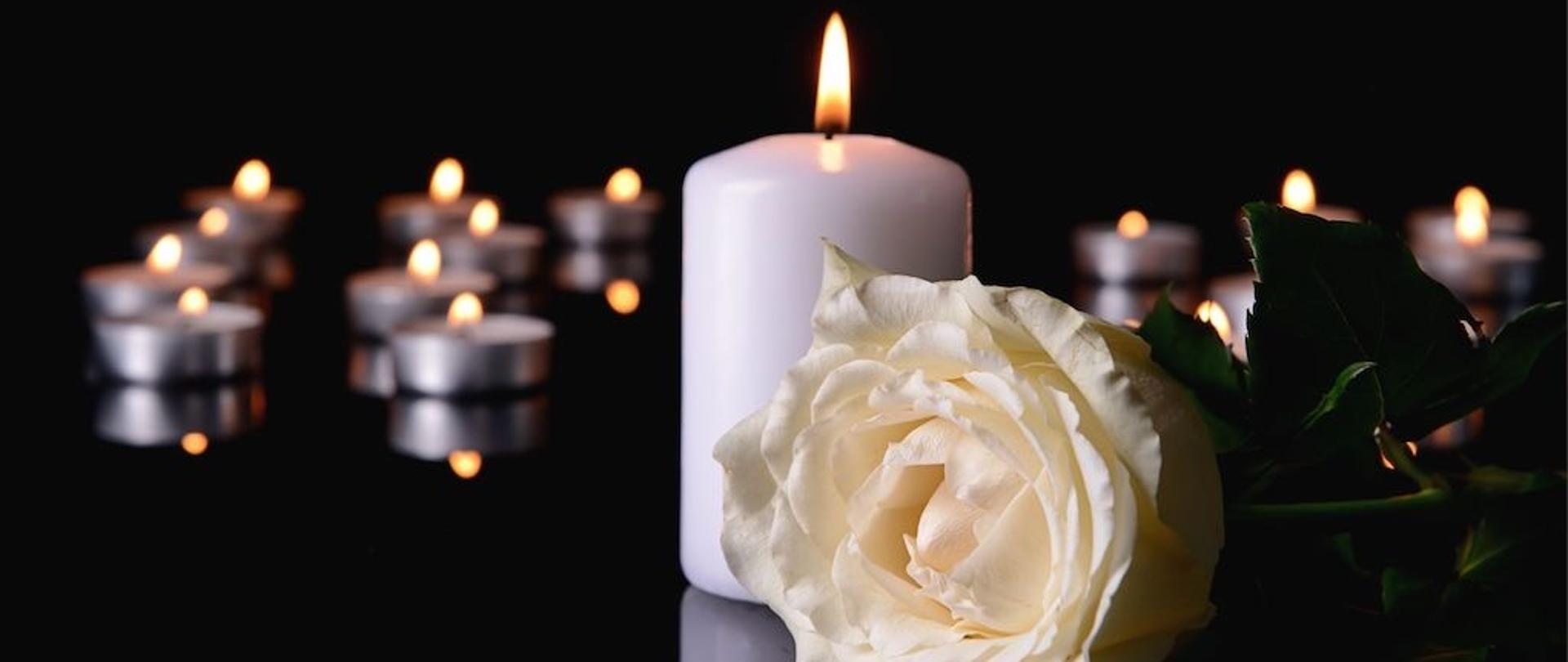 Biała zapalona świeca z białą różą na pierwszym planie, w tle zapalone małe świeczki w oddali. Całość w żałobnym charakterze.
