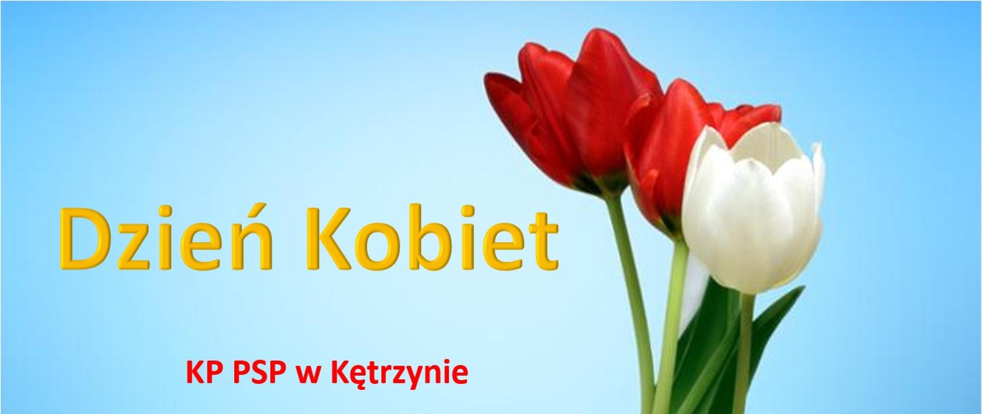 Zdjęcia tulipanów na niebieskim tle. Żółty napis Dzień Kobiet, oraz czerwony KP PSP w Kętrzynie