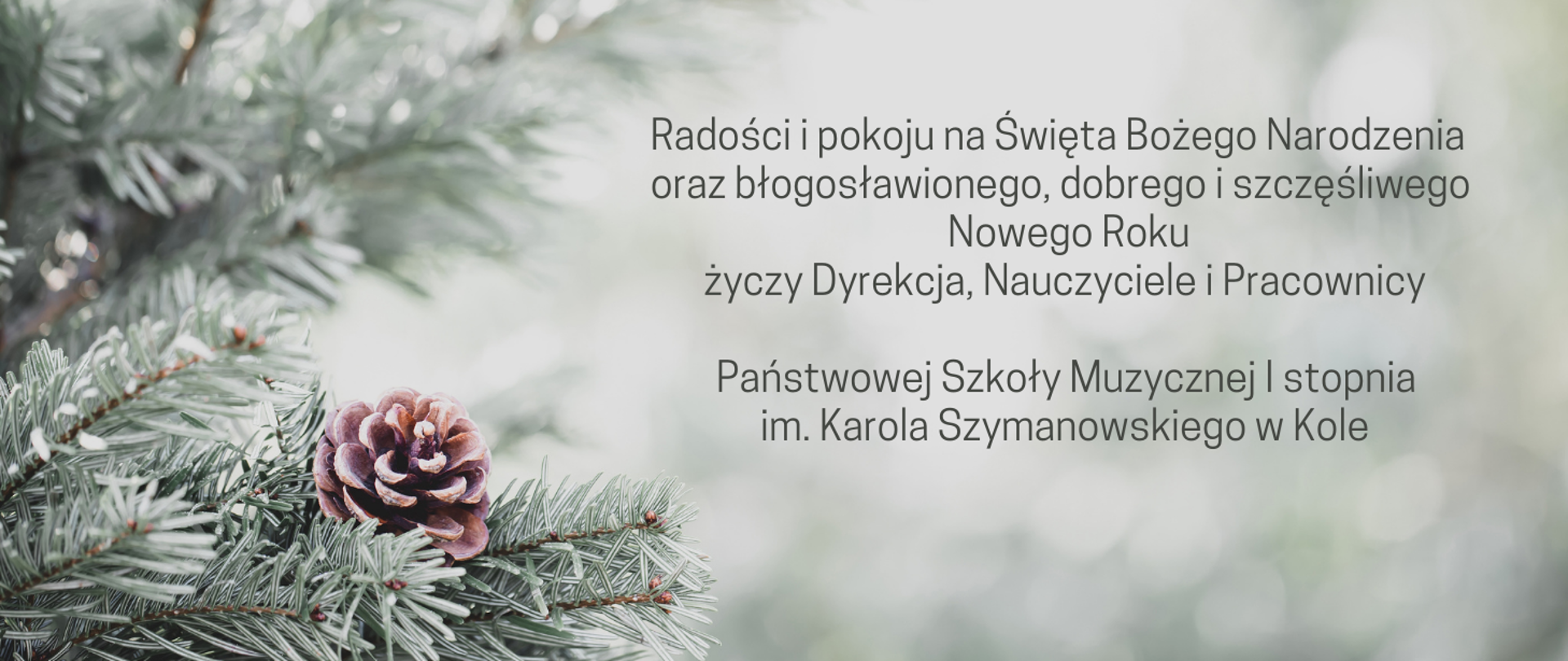 zdjęcie przedstawiające fragment choinki świątecznej, na jasnym tle życzenia Radości i pokoju na święta Bożego Narodzenia oraz błogosławionego, dobrego i szczęśliwego nowego roku życzy dyrekcja, nauczyciele i pracownicy Państwowej Szkoły Muzycznej I stopnia imienia Karola Szymanowskiego w Kole