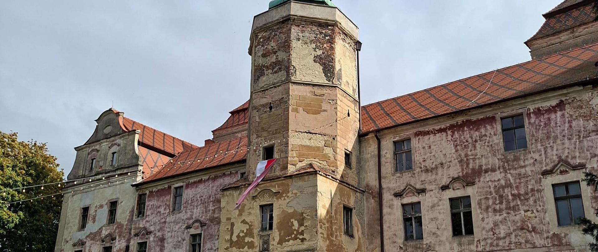 Wojewódzkie Święto Karpia Opolskiego - kulinarna opowieść o tradycji regionu.