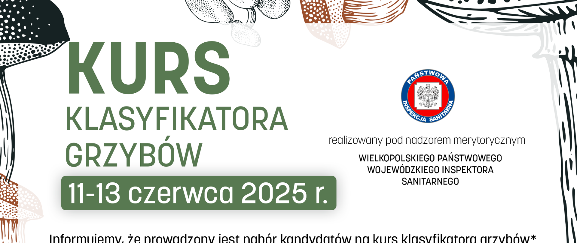 Kurs na klasyfikatora grzybów 2025
