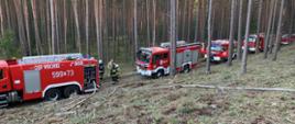 Na zdjęciu widzimy samochody pożarnicze oraz strażaków podczas działań gaśniczych w środku lasu