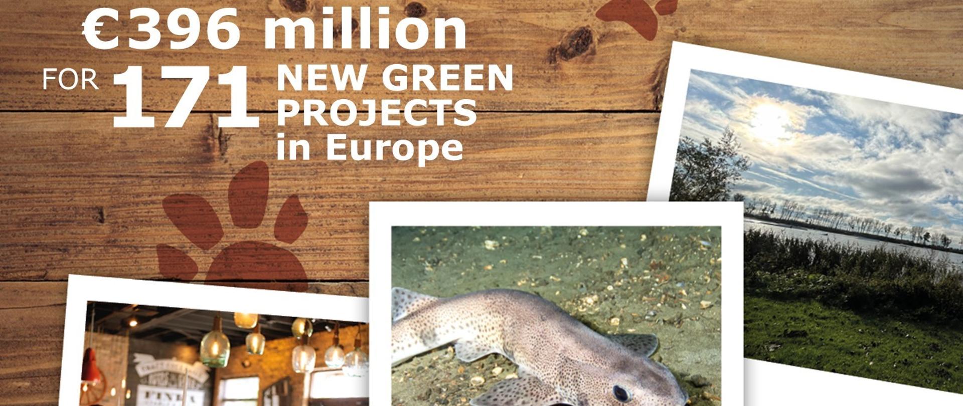 Grafika ilustracyjna programu unijnego LIFE