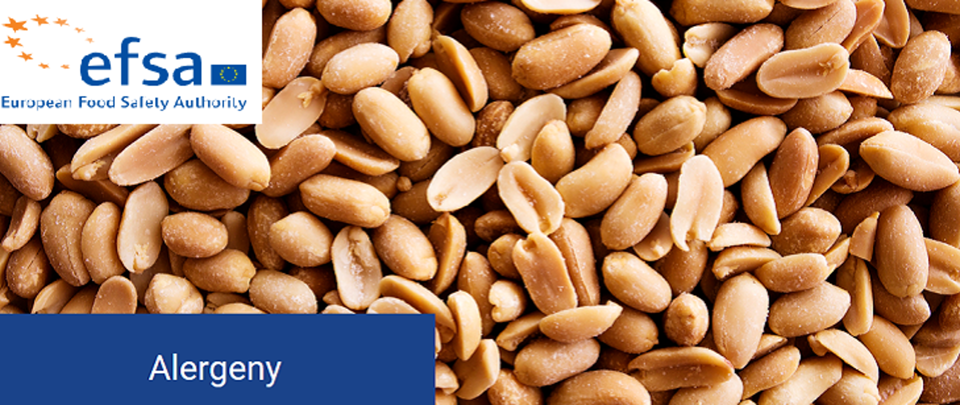 Zdjęcie przedstawia hasło kampanii EFSA mającej na celu przybliżenie problematyki Alergenów