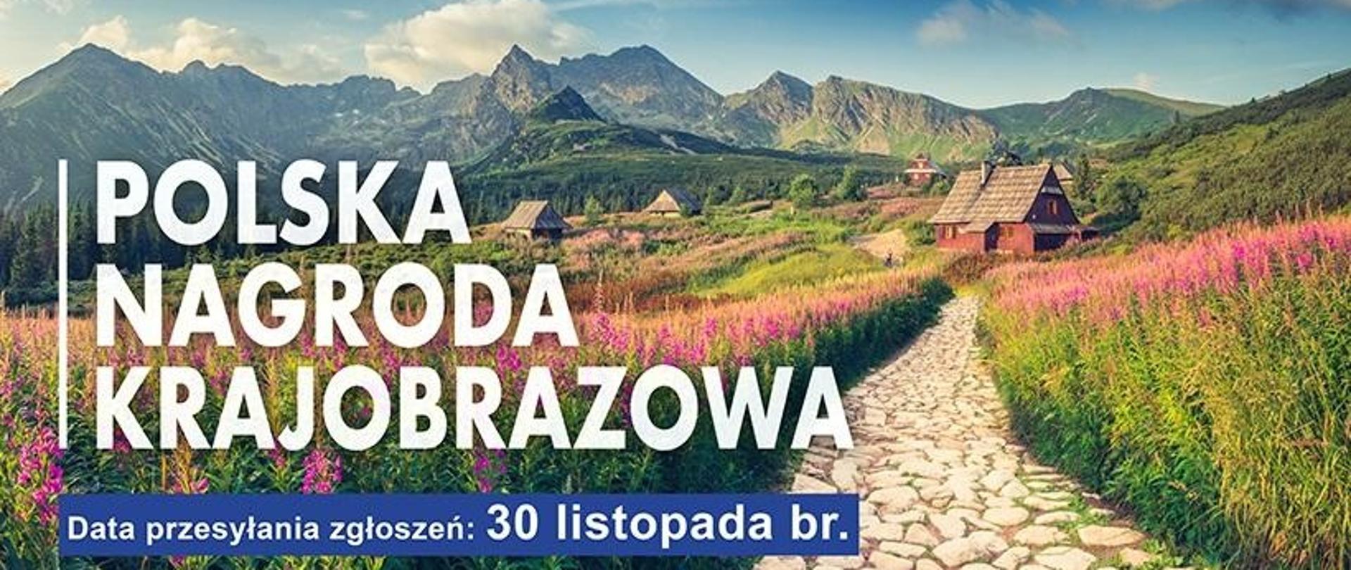 Szlak kamienisty prowadzący do domu. Po jego prawej i lewej stronie rośnie różowy łubin. W oddali widać góry.