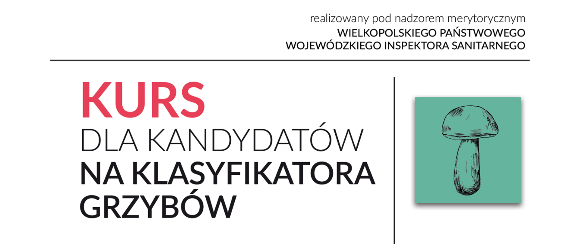 klasyfikator_grzybów