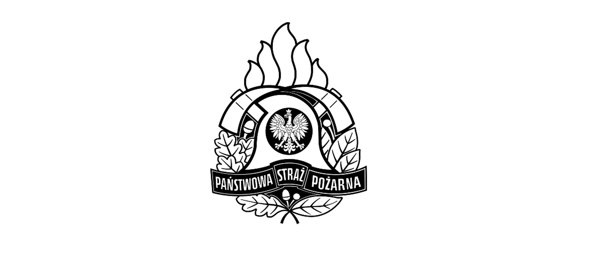 Logo monochromatyczne PSP czarne.