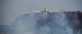 Samolot gaśniczy dromader nad pożarzyskiem