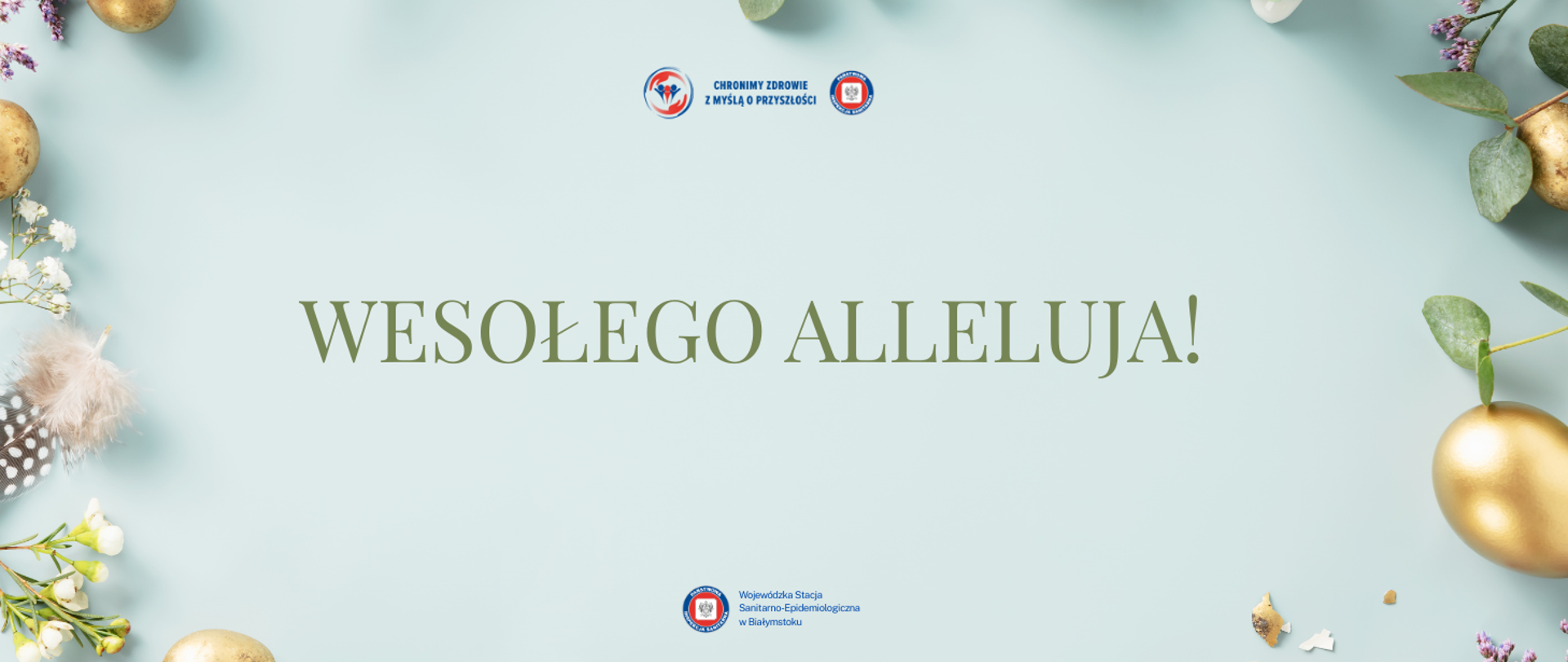 Grafika ma jasnozielone tło i jest utrzymana w świątecznym, wielkanocnym stylu. Po obu krawędziach umieszczone są dekoracje zawierające: złote, błyszczące pisanki, delikatne piórka, drobne białe kwiatki i zielone listki.
W centrum znajduje się duży, wyraźny napis: „WESOŁEGO ALLELUJA!”.
Na górze grafiki umieszczono dwa okrągłe logotypy Państwowej Inspekcji Sanitarnej, a między nimi tekst: „CHRONIMY ZDROWIE Z MYŚLĄ O PRZYSZŁOŚCI”.
Na dole widnieje kolejny okrągły znak Państwowej Inspekcji Sanitarnej oraz nazwa: „Wojewódzka Stacja Sanitarno-Epidemiologiczna w Białymstoku”.