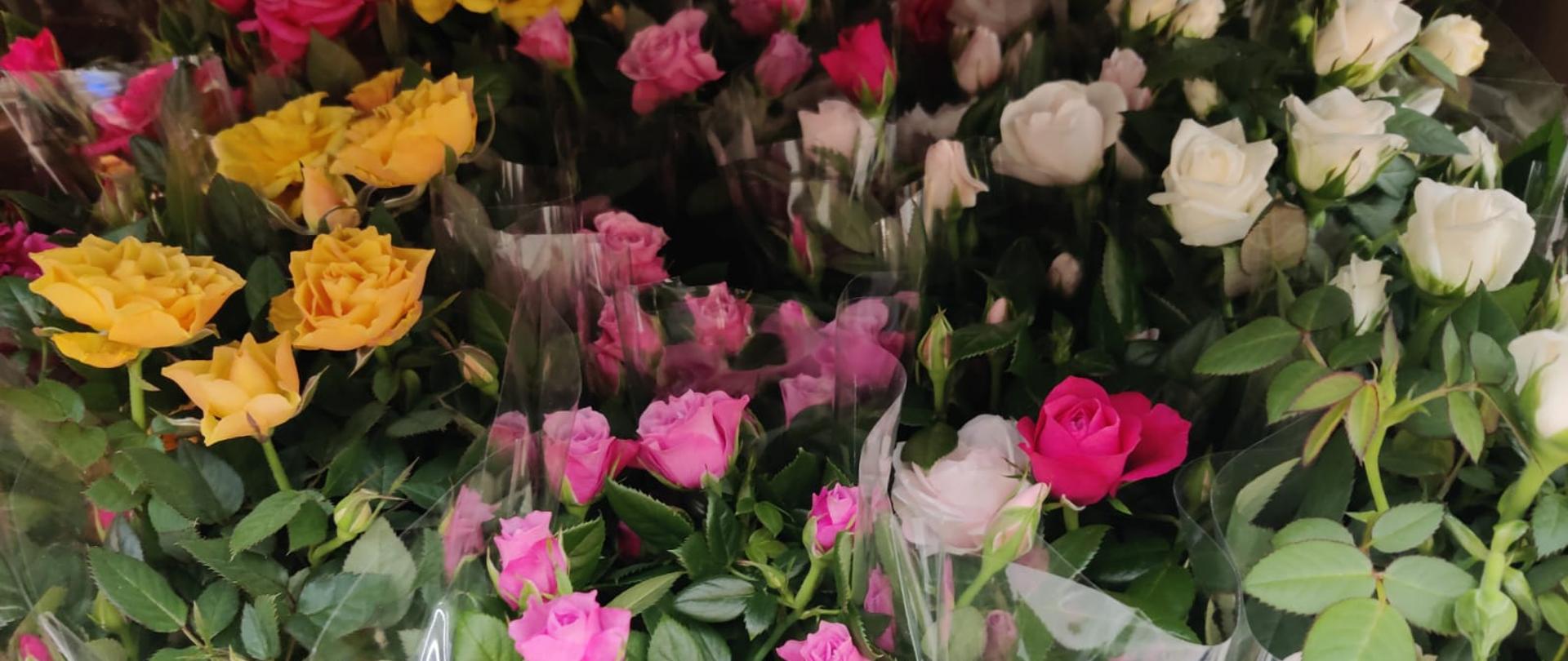 Zdjęcie przedstawia róże