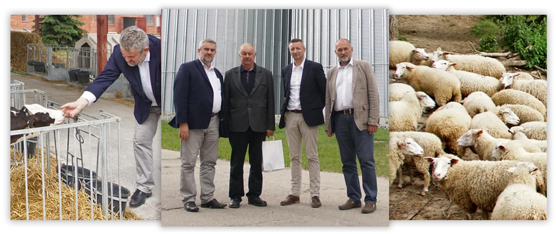 Gajewo Owczarnia Gospodarstwo ZiarPol