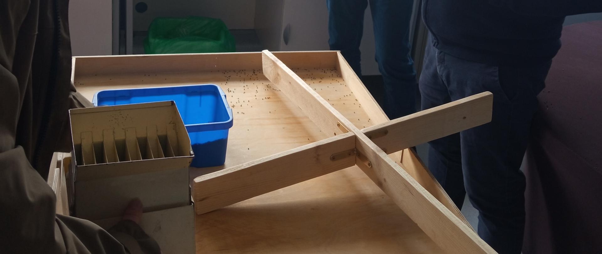 Kandydat na rzeczoznawcę prezentuje przed komisją egzaminacyjną sposób podziału próbki