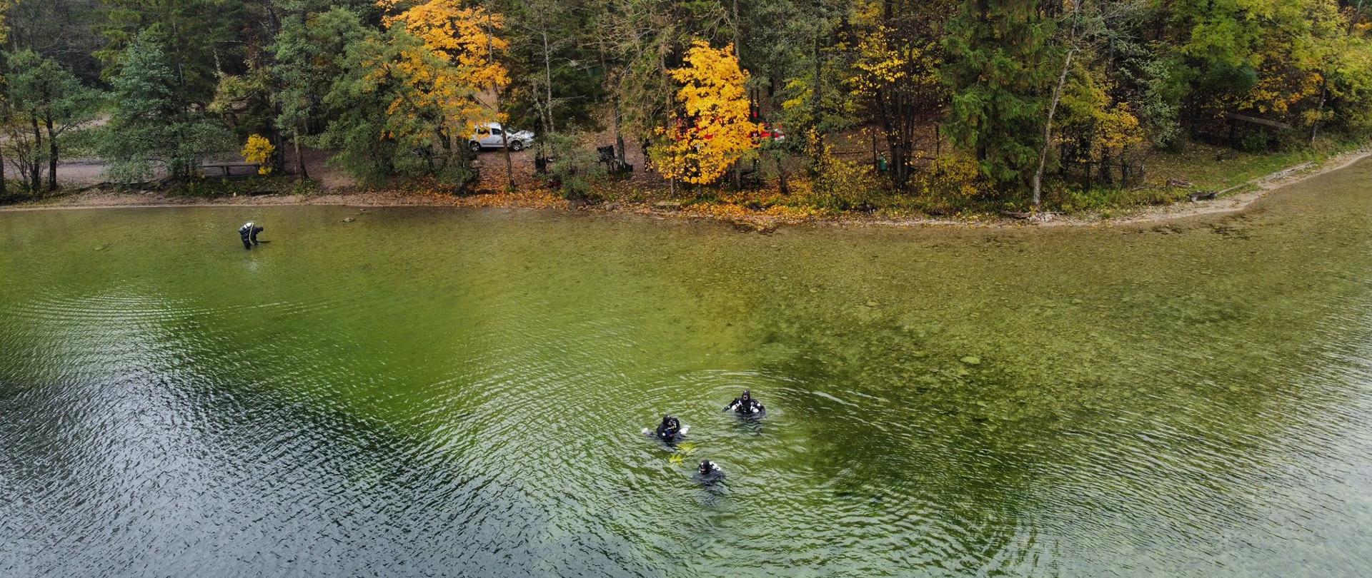 Widok z lotu ptaka przedstawiający zalesioną linie brzegową nad jeziorem. Wyraźnie widać sylwetki nurków szykujących się do zanurzenia pod powierzchnię wody 
