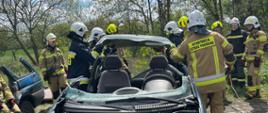 Na zdjęciu widzimy grupę strażaków z jednostki OSP (Ochotnicza Straż Pożarna) podczas ćwiczeń z zakresu ratownictwa technicznego. W centrum kadru znajduje się rozcięty samochód osobowy – ma całkowicie usunięty dach, co wskazuje na zastosowanie narzędzi hydraulicznych w celu ewakuacji poszkodowanych. Pojazd ma otwartą maskę, odsłaniającą silnik, a wokół auta pracują strażacy w pełnym umundurowaniu ochronnym, hełmach i rękawicach. Tło stanowią drzewa oraz zielony teren, co sugeruje, że ćwiczenia odbywają się na placu manewrowym lub w terenie otwartym.
To typowe szkolenie z zakresu ratownictwa drogowego, którego celem jest doskonalenie umiejętności bezpiecznego wydobywania osób poszkodowanych z pojazdów po wypadkach.