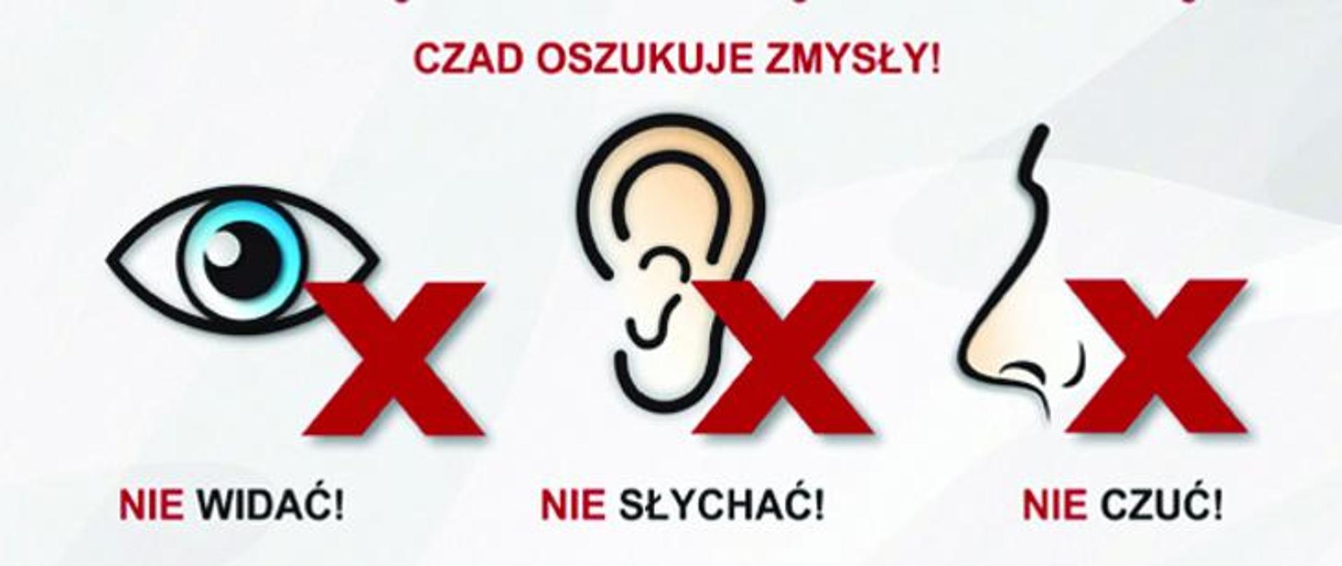 Ogólnopolska kampania edukacyjno-informacyjna PSP "Czujka", plakat