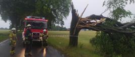 Strażacy podczas działań. Usuwanie drzewa z drogi.