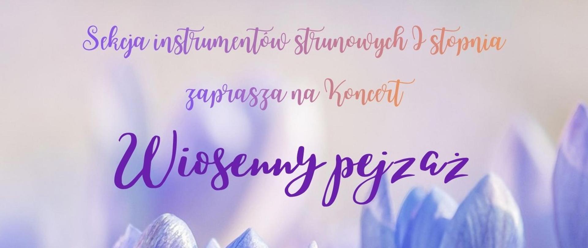 Plakat informujący o koncercie „Wiosenny pejzaż” organizowanym przez Państwową Szkołę Muzyczną I i II stopnia im. I.J. Paderewskiego w Stalowej Woli. U góry znajduje się nazwa szkoły oraz informacja o sekcji instrumentów strunowych I stopnia, która zaprasza na koncert. Centralnie umieszczony jest tytuł „Wiosenny pejzaż”. Poniżej widnieje informacja o wykonawcach: uczniowie sekcji I stopnia oraz zespół smyczkowy ViolinCello. W dolnej części plakatu podano datę i godzinę wydarzenia: 30 marca 2026, godz. 18.00, oraz miejsce: sala koncertowa. Tło plakatu stanowi zdjęcie fioletowych kwiatów przypominających krokusy, a w dolnej części widoczny jest graficzny motyw nutowy z pięciolinią i kluczem wiolinowym.