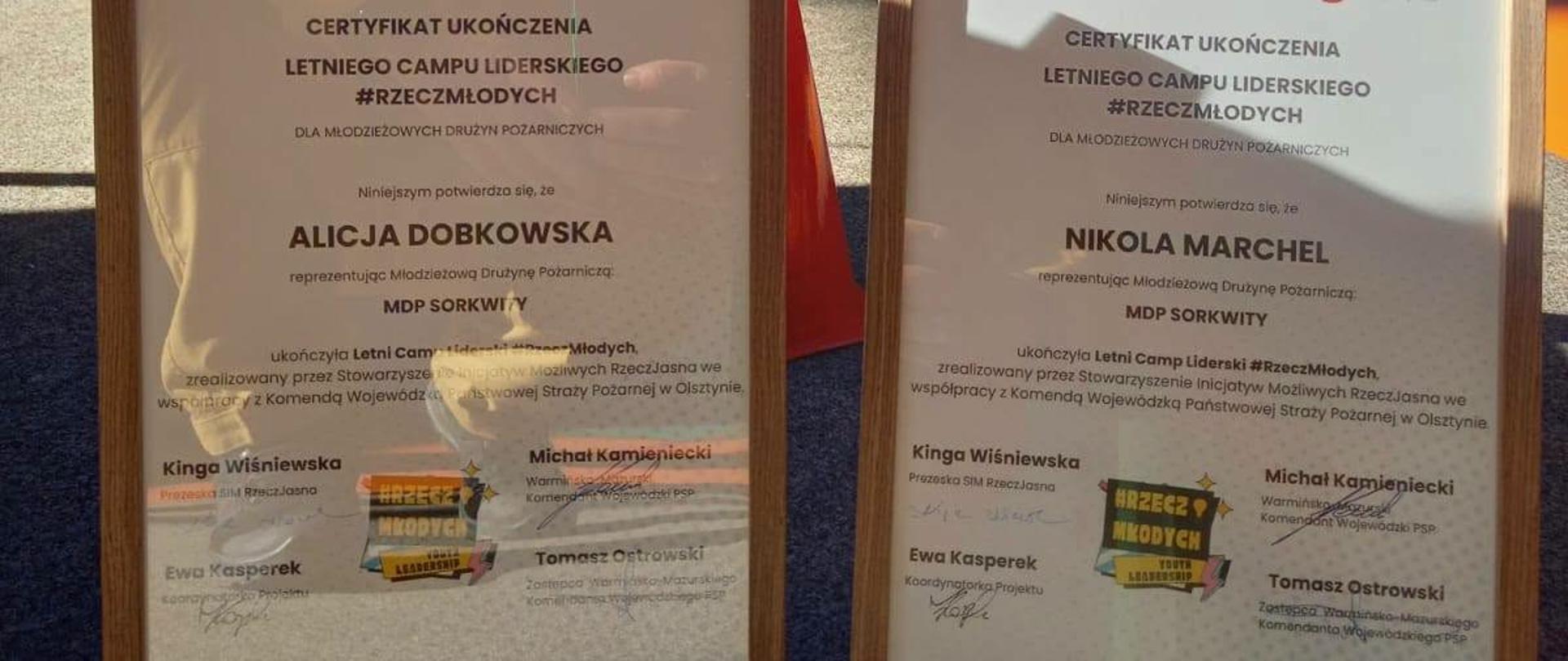 MDP dla Bezpieczeństwa – młodzi druhowie edukują i budują świadomość bezpieczeństwa.