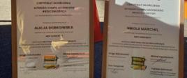 MDP dla Bezpieczeństwa – młodzi druhowie edukują i budują świadomość bezpieczeństwa.
