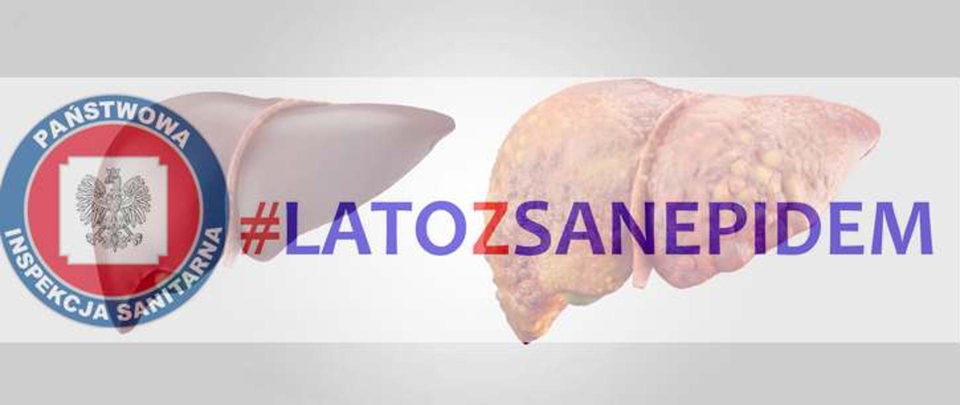 Obraz zdrowej i zainfekowanej, zniekształconej wątroby