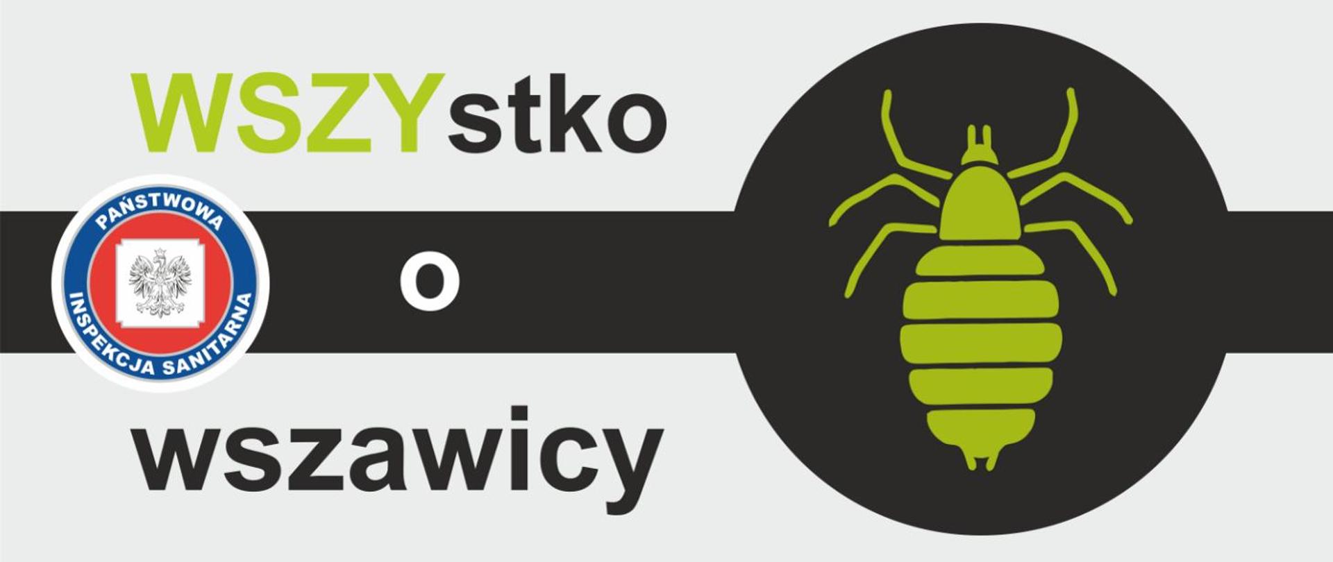 Wszystko o wszawicy