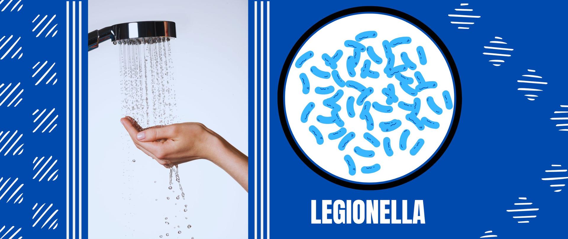 Słuchawka prysznicowa z lejącą się na dłoń wodą. Po prawej stronie grafika wektorowa obrazująca niebieskie pałeczki bakterii. Na dole napis "Legionella"