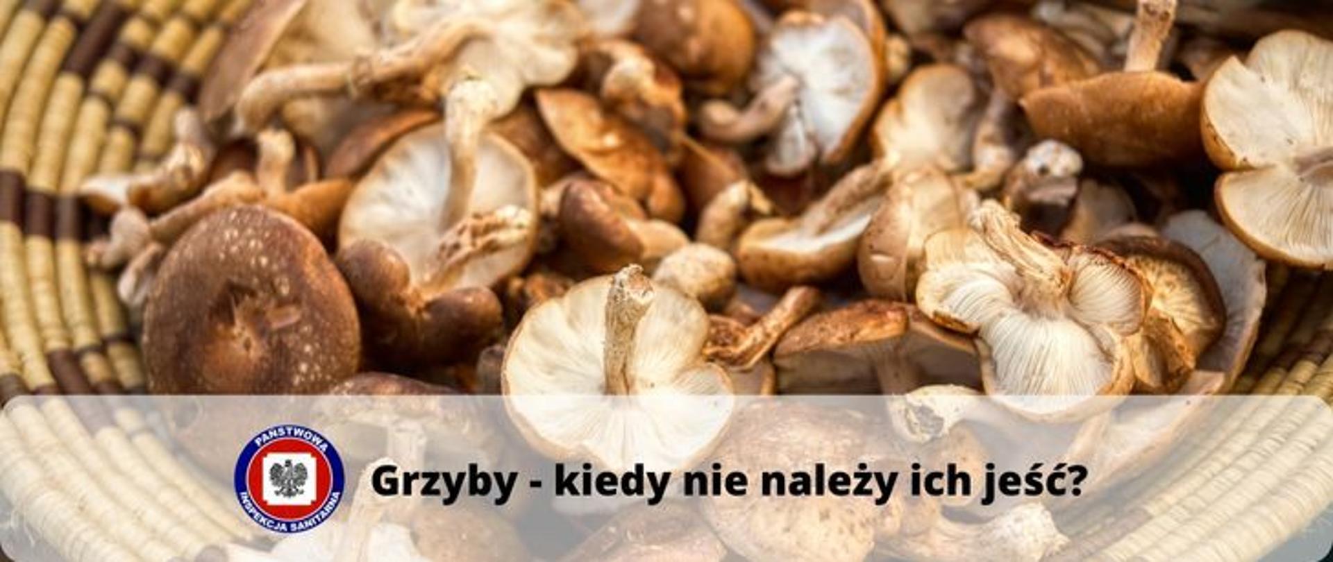 Zdjęcie przedstawia koszyk z grzybami blaszkowymi - napis Grzyby kiedy nie należy jeść