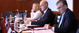 Viceministro de Relaciones Exteriores con la Embajadora de Polonia en México en las consultas políticas