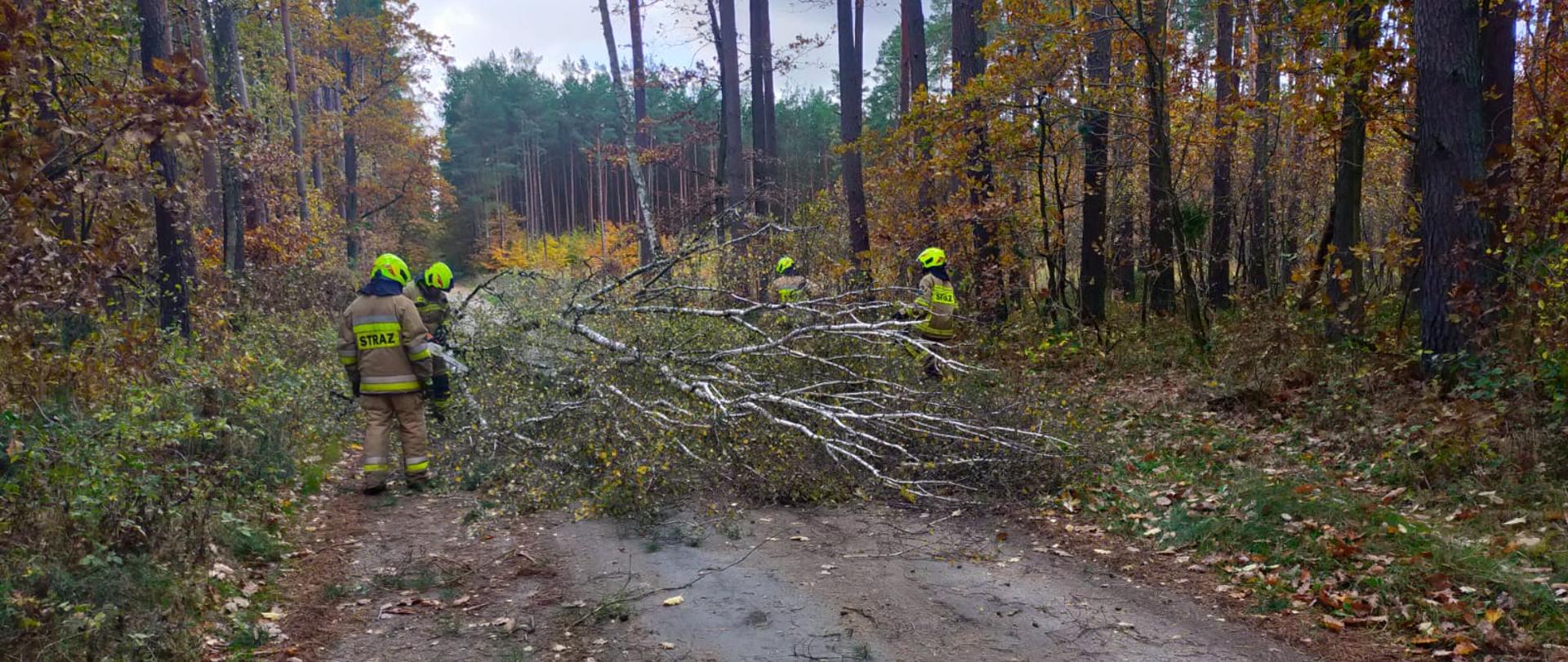 Na zdjęciu widzimy pracujących strażaków przy usuwaniu powalonego drzewa