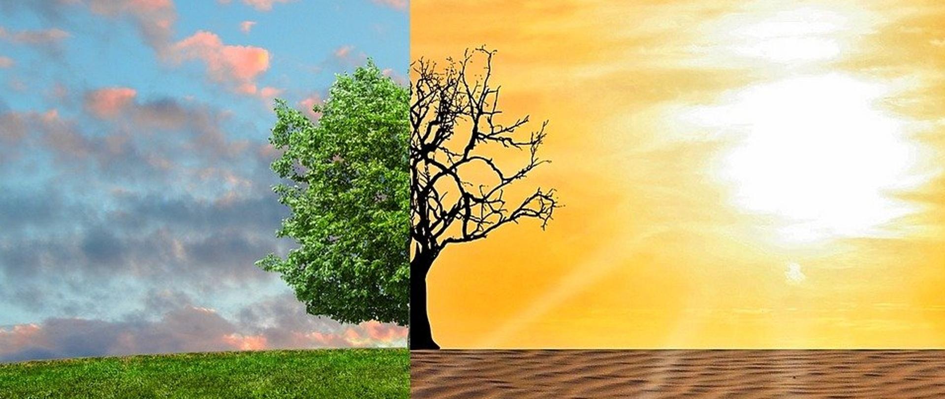 Grafika obrazująca zmiany klimatu i suszę
